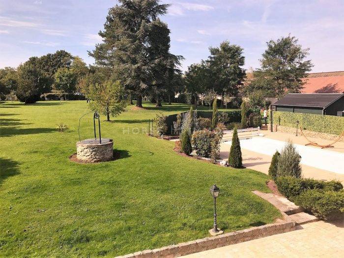 Stoeterij Koop Seine-et-Marne