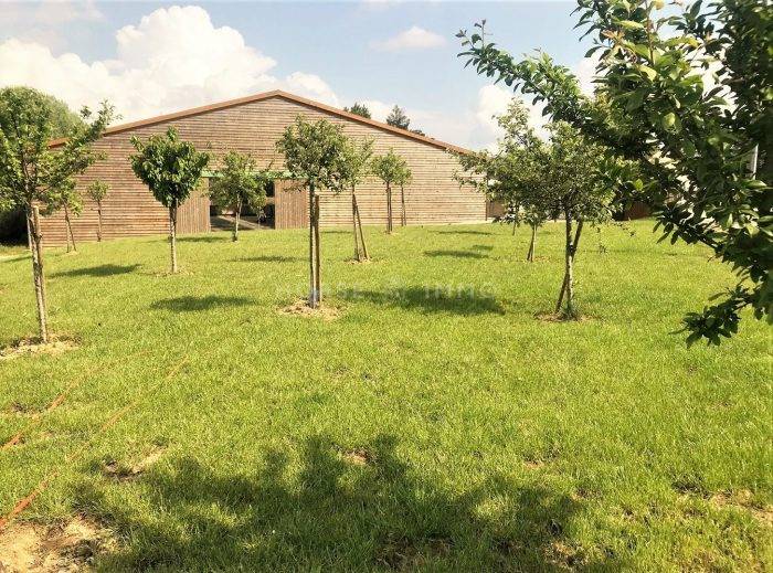 Stoeterij Koop Seine-et-Marne