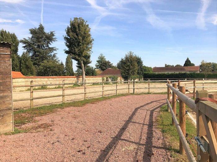 Stoeterij Koop Seine-et-Marne