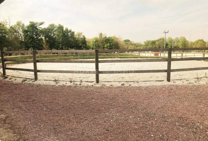 Stoeterij Koop Seine-et-Marne