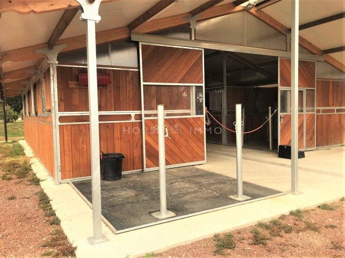 Stoeterij Koop Seine-et-Marne