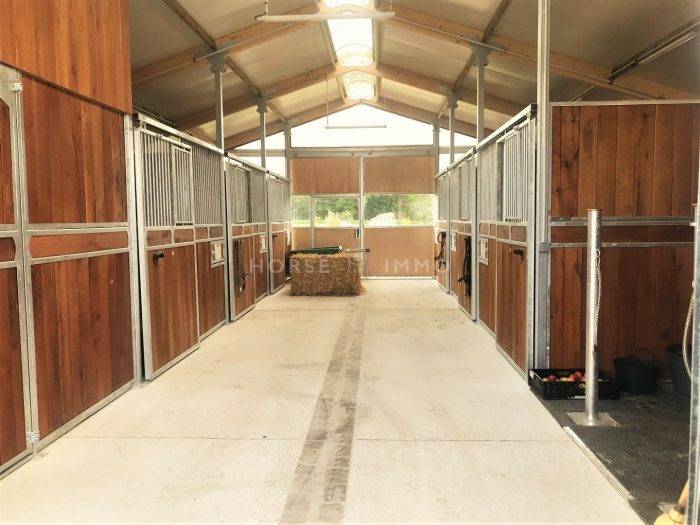 Stoeterij Koop Seine-et-Marne