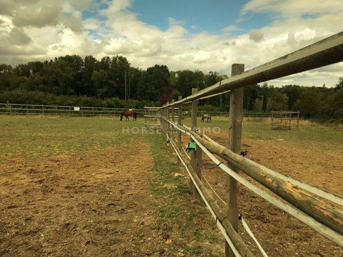 Stoeterij Koop Seine-et-Marne