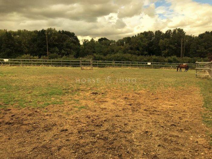 Stoeterij Koop Seine-et-Marne
