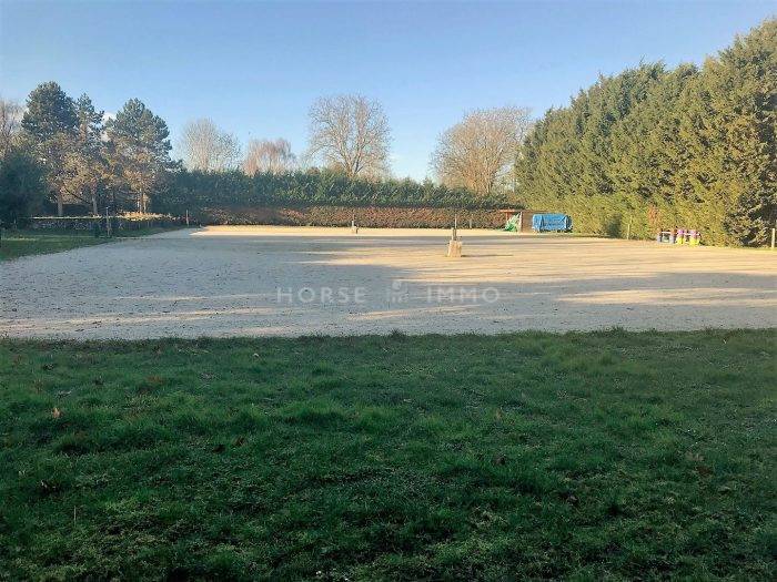 Hippisch vastgoed Koop Yvelines