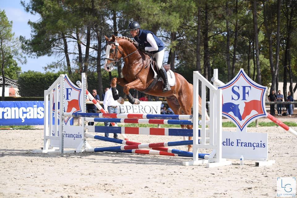 Gracieux d'Osmont - Selle Français 2016 ,  jadis de toscane  sfa