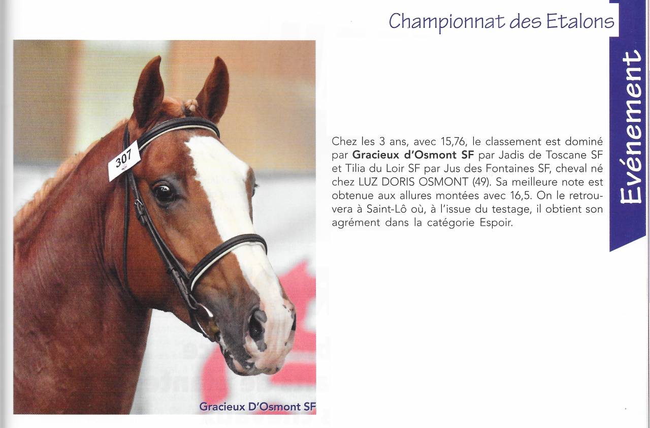 Gracieux d'Osmont - Selle Français 2016 ,  jadis de toscane  sfa