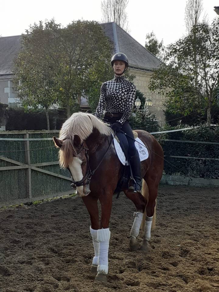 Gracieux d'Osmont - Selle Français 2016 ,  jadis de toscane  sfa