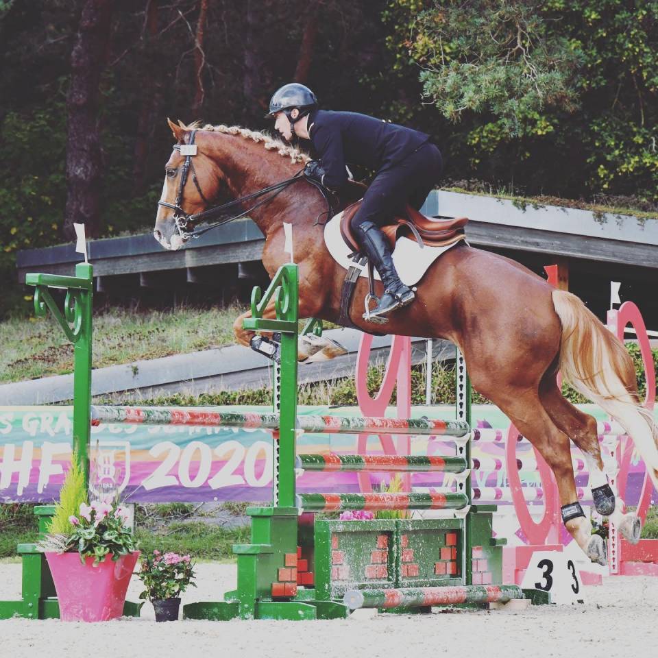 Gracieux d'Osmont - Selle Français 2016 ,  jadis de toscane  sfa