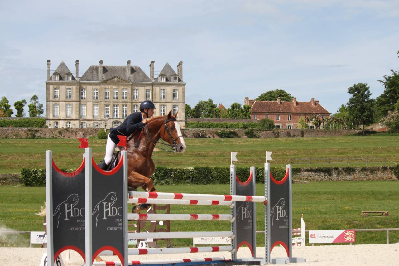 Gracieux d'Osmont - Selle Français 2016 ,  jadis de toscane  sfa