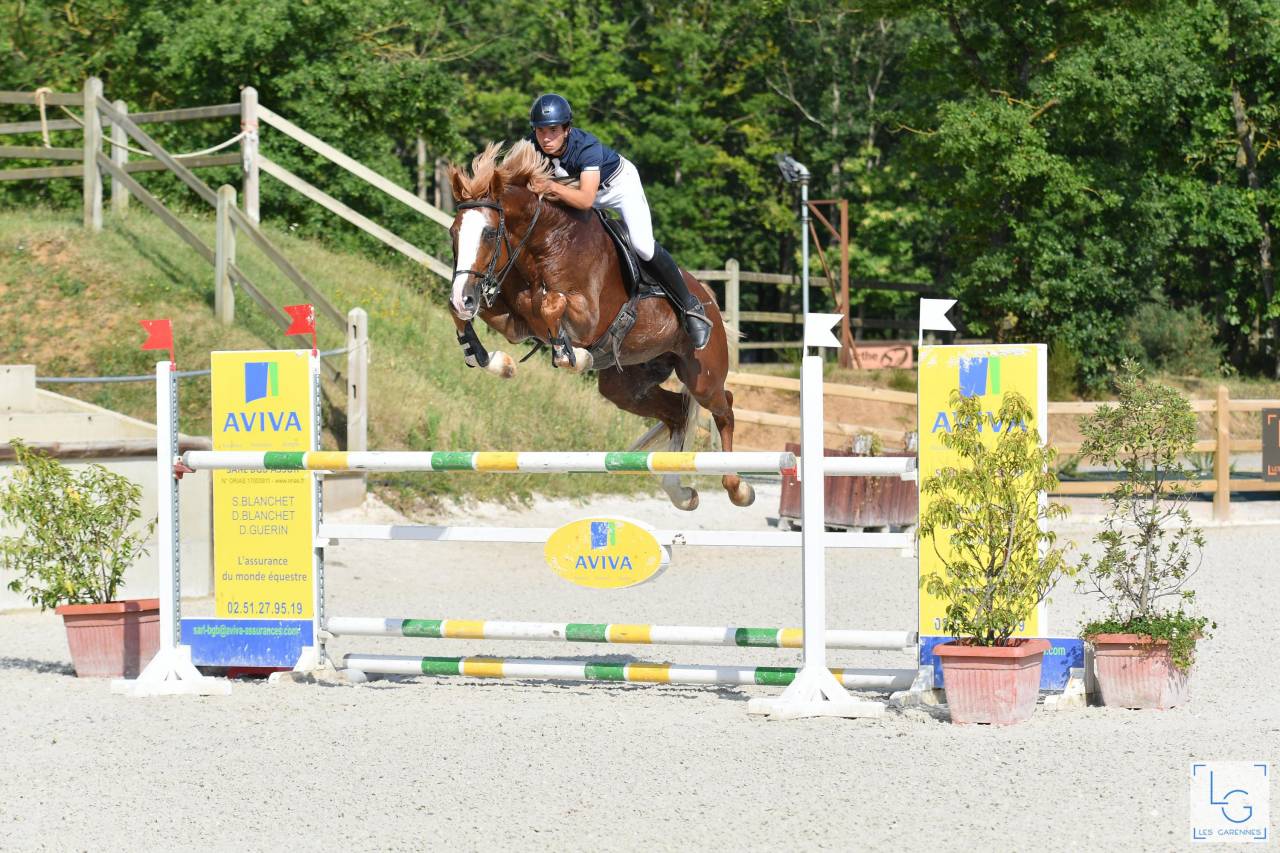 Gracieux d'Osmont - Selle Français 2016 ,  jadis de toscane  sfa