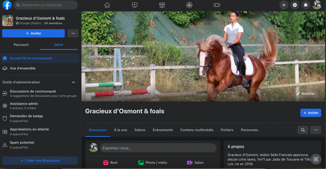 Gracieux d'Osmont - Selle Français 2016 ,  jadis de toscane  sfa