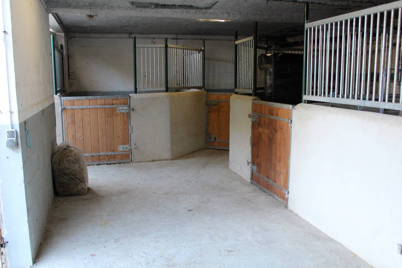 Mooi hippisch vastgoed Koop Val-d'Oise