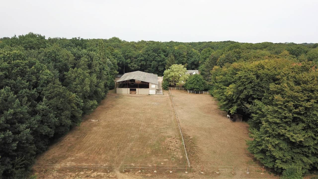 Hippisch vastgoed Koop Yvelines