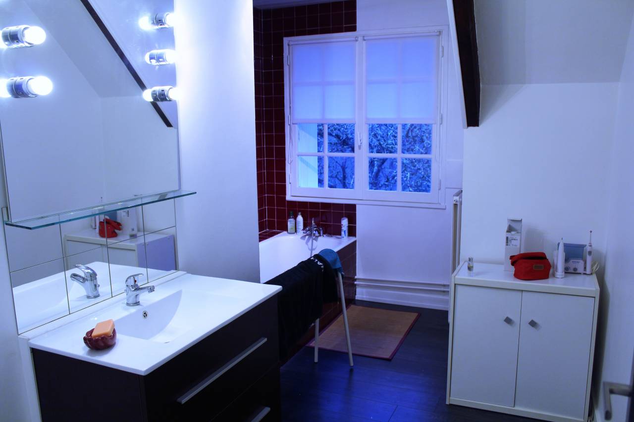 Hippisch vastgoed Koop Yvelines