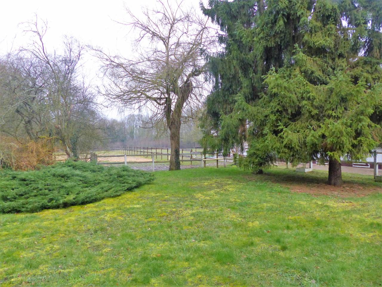 Hippisch vastgoed Koop Yvelines