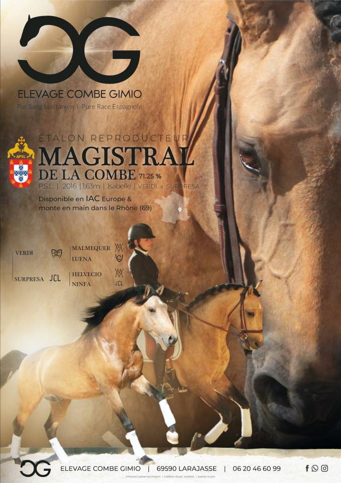 MAGISTRAL DE LA COMBE - Lusitano 2016 ,  VERDI