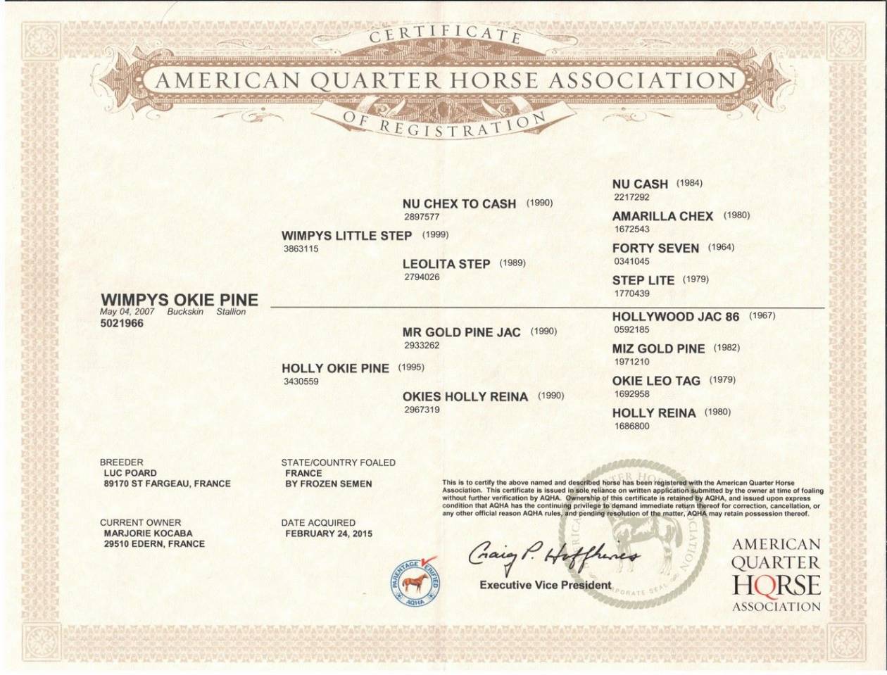 WIMPYS OKIE PINE - Quarter Horse 2007 ,  Wimpys little Step