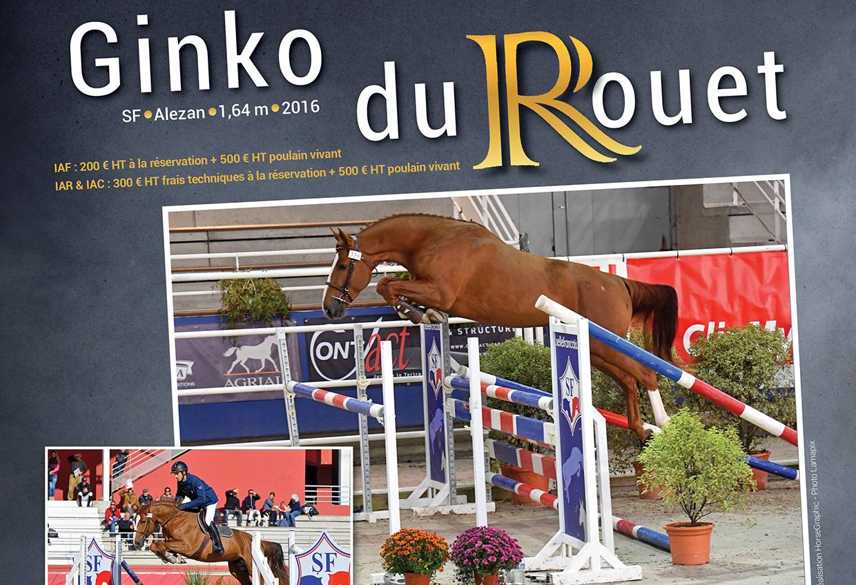 GINKO DU ROUET - Selle Fran&ccedil;ais 2016 ,  VAGABOND DE LA POMME sbs