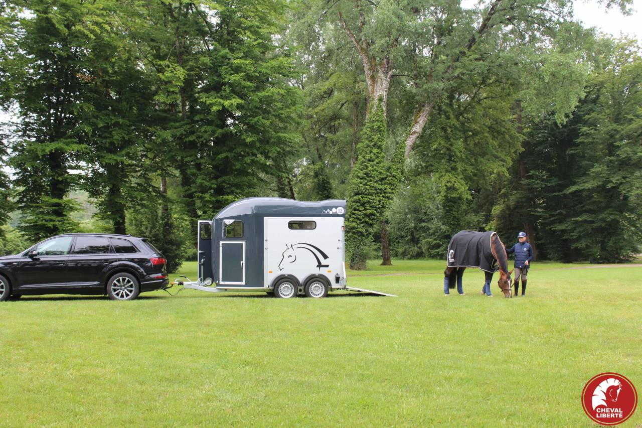 Paardentrailers Cheval Liberté Gold 3 2 Paarden 2024 Nieuw