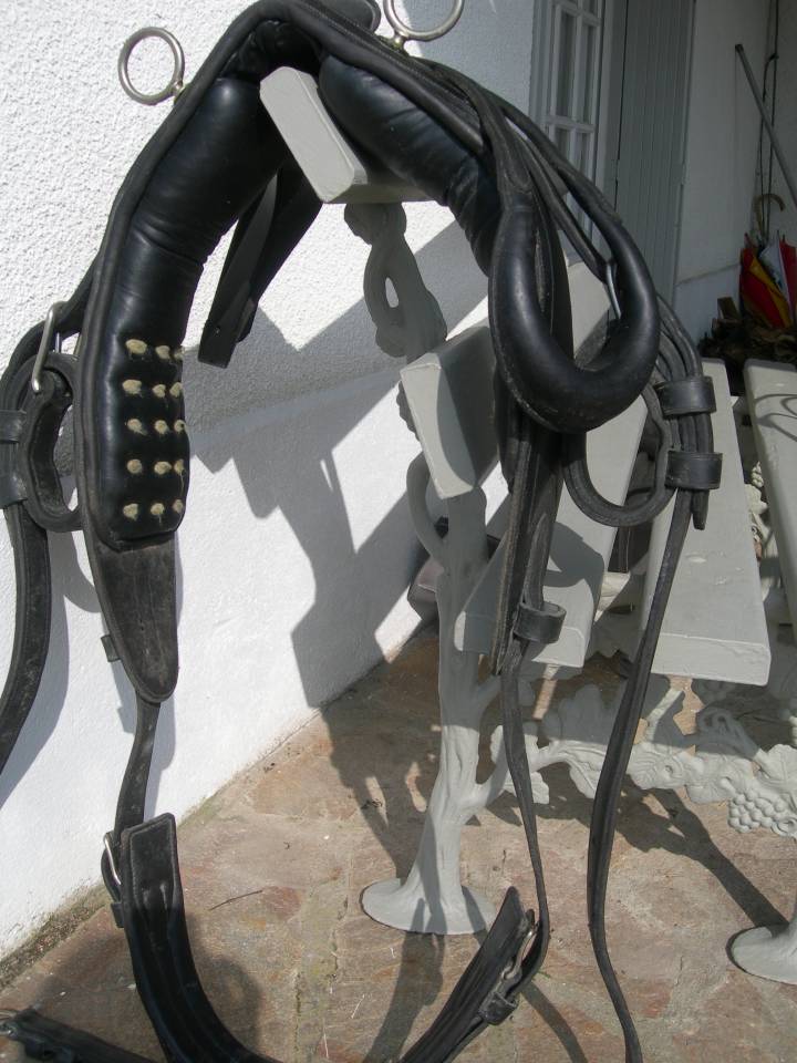 Rijtuigen - Cal&egrave;che   