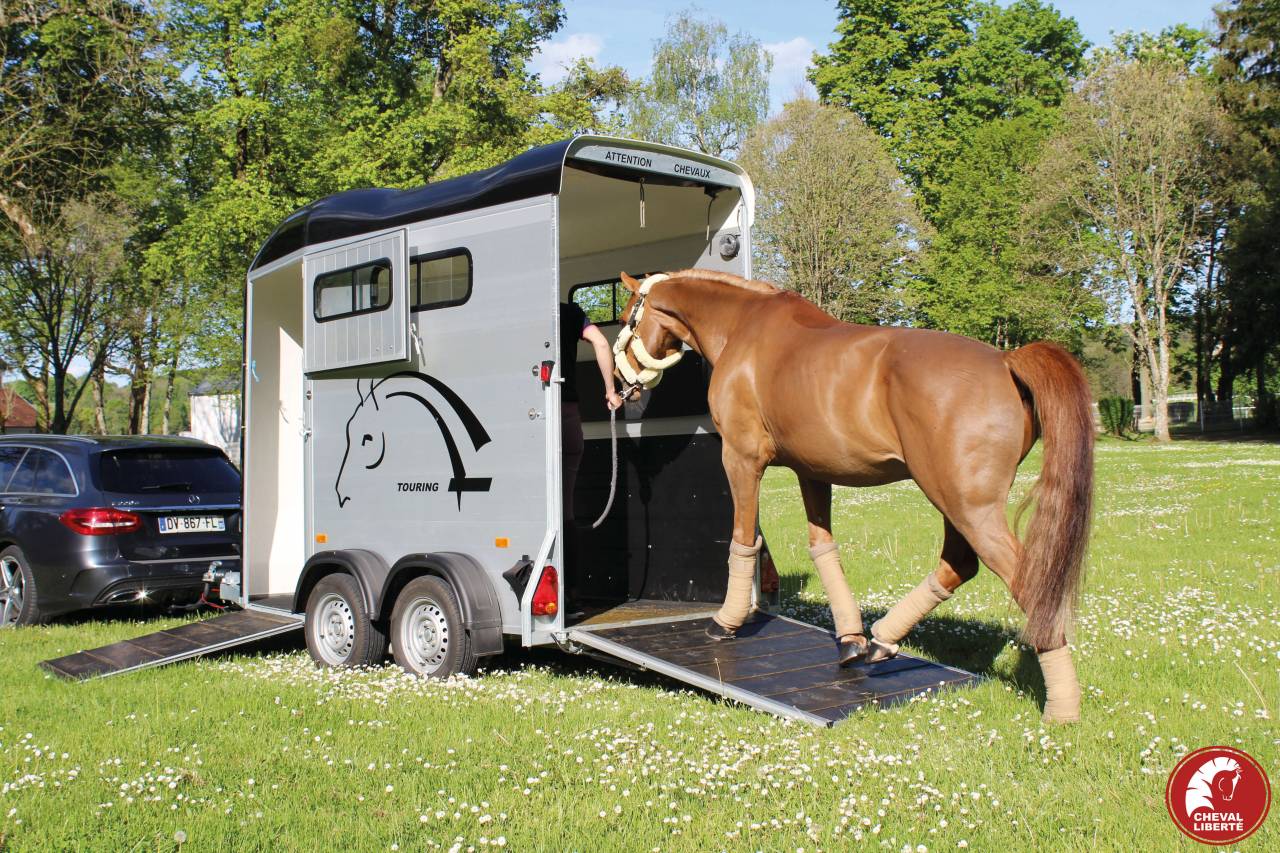 Paardentrailers Cheval Liberté Touring one 1,5 Paard 2024 Nieuw