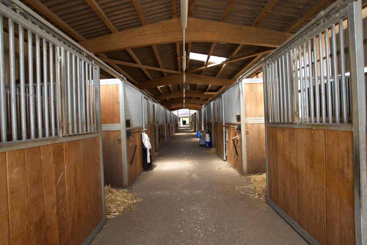 Ruiterclub Koop Vaud