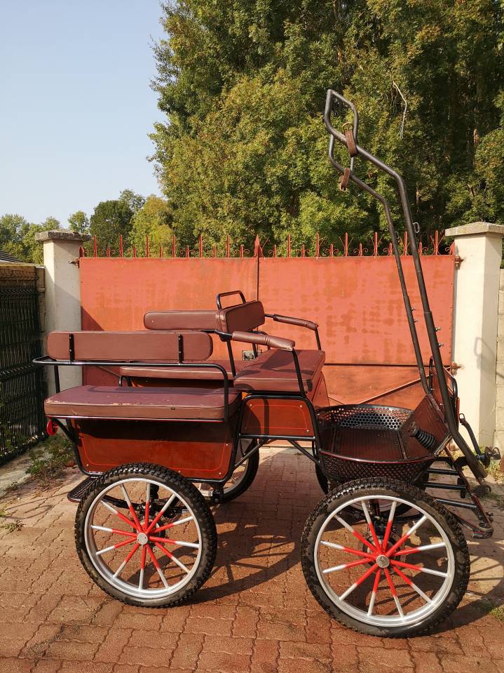 Rijtuigen - Cal&egrave;che   