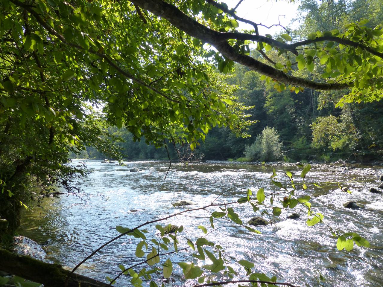 Hippisch vastgoed Koop Ain