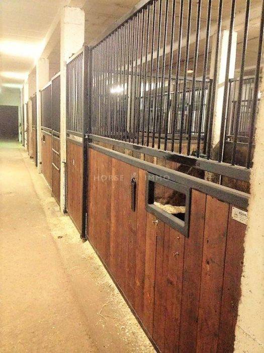 Ruiterclub Koop Allier