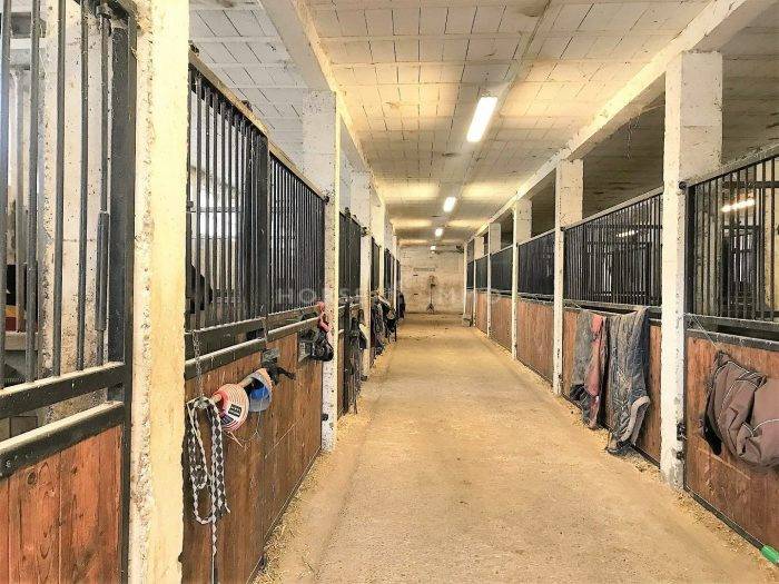 Ruiterclub Koop Allier