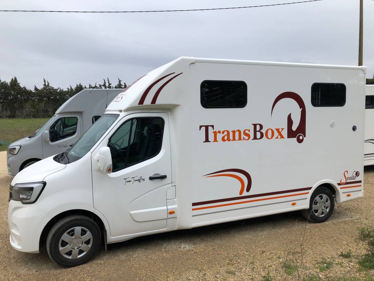 Kleine paardenvrachtwagen (B rijbewijs) Trans Box SVELTO 3S 2024 Nieuw