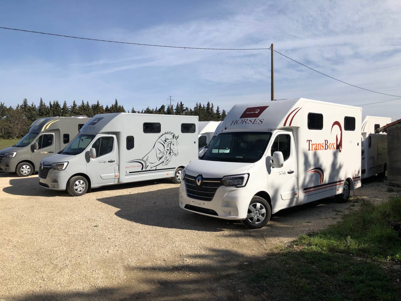 Kleine paardenvrachtwagen (B rijbewijs) Trans Box SVELTO 3S 2024 Nieuw