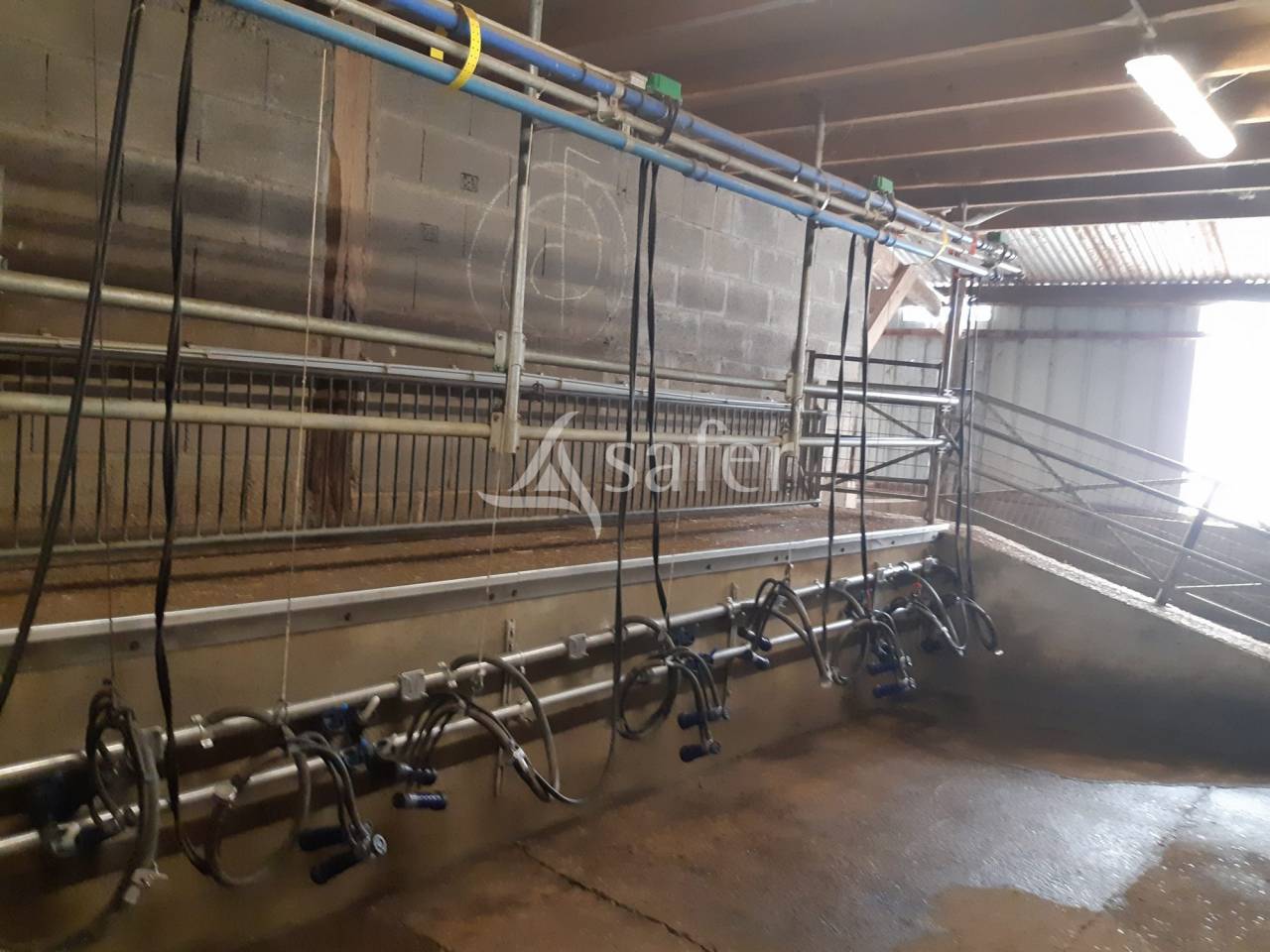 Landbouw bedrijf Koop Sarthe