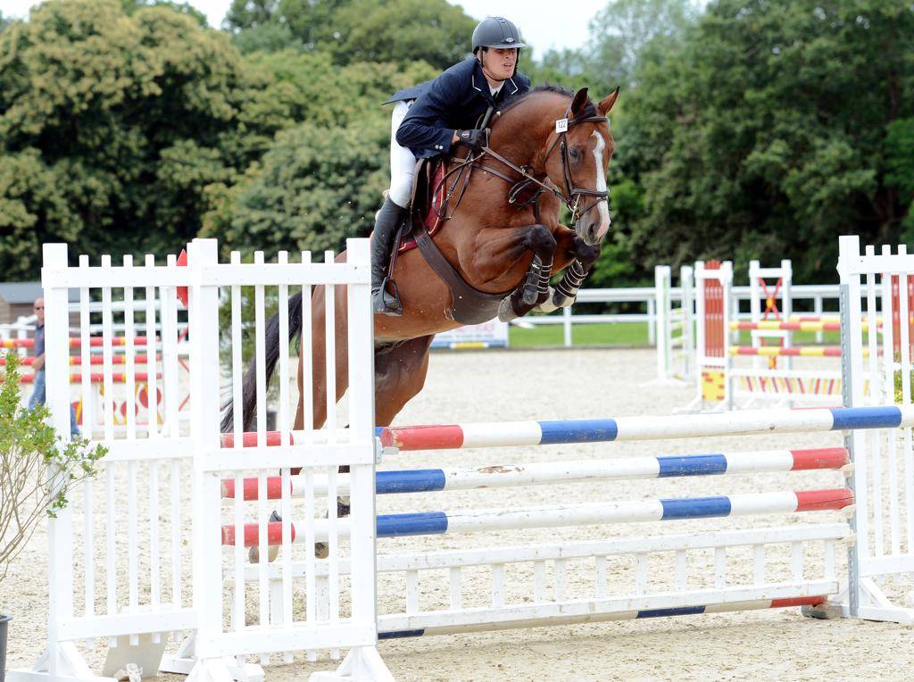 Uncognito bois margot  - Selle Français 2008 ,  l'arc de triomphe