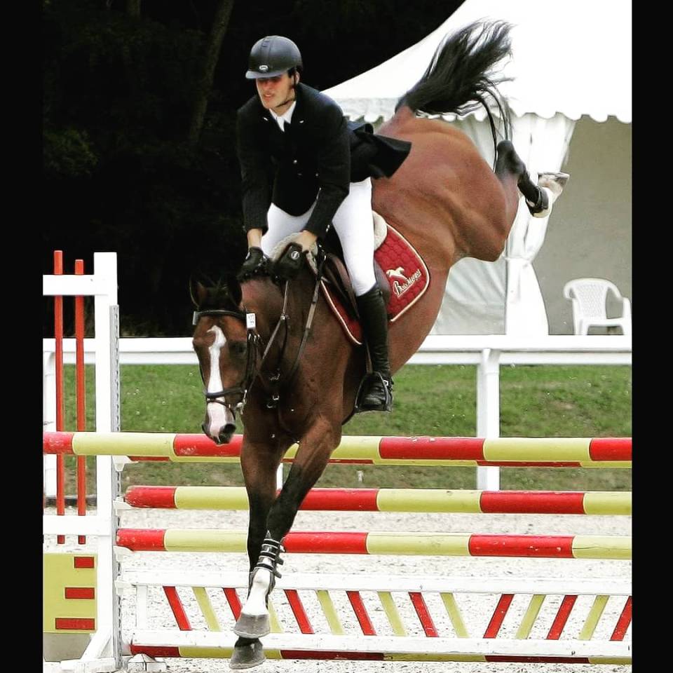 Uncognito bois margot  - Selle Français 2008 ,  l'arc de triomphe