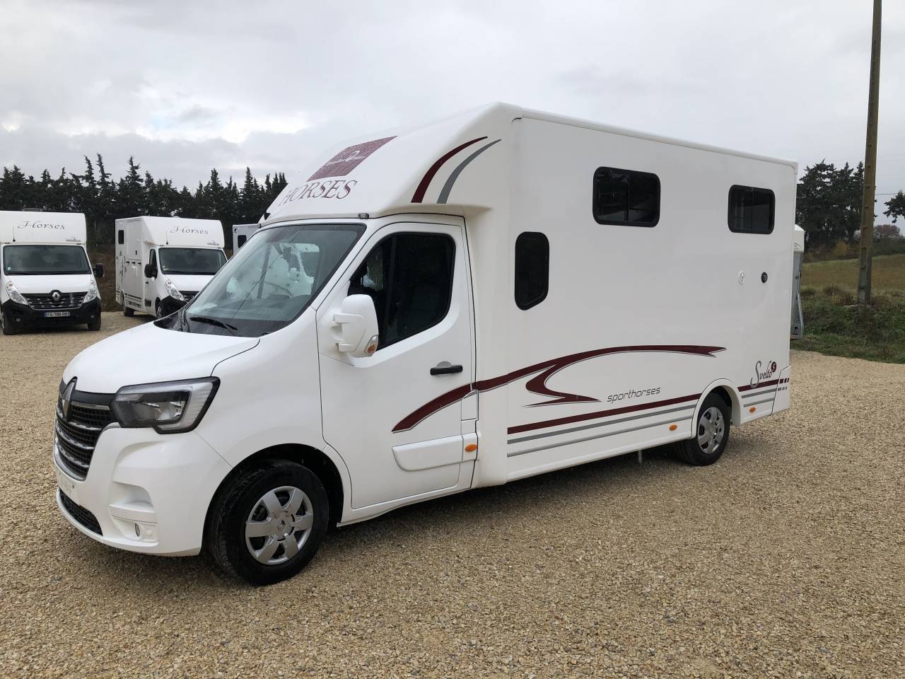 Kleine paardenvrachtwagen (B rijbewijs) Trans Box SVELTO 5 S 2024 Nieuw