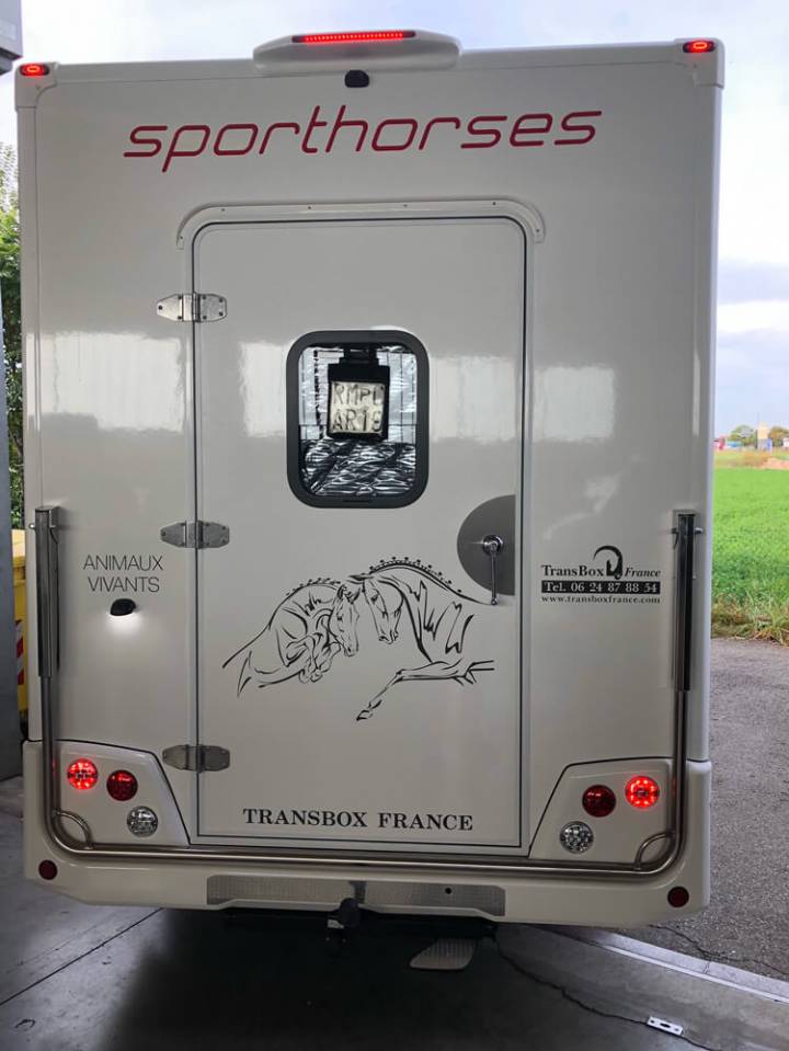 Kleine paardenvrachtwagen (B rijbewijs) Trans Box SVELTO 5 S 2024 Nieuw