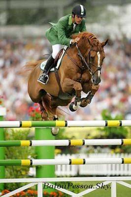 Baloubet du Rouet - Selle Français 1989 ,  GALOUBET A