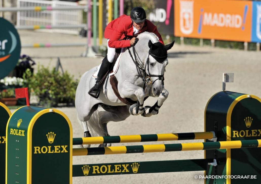 Cornet Obolensky - BWP Belgisch volbloed 1999 ,  CLINTON