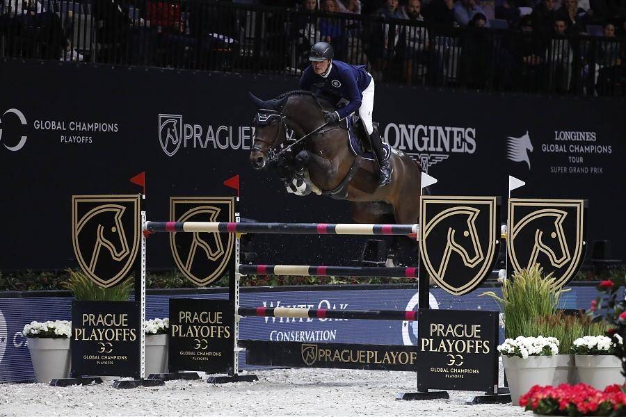 Don Diarado - Rijnlander 2009