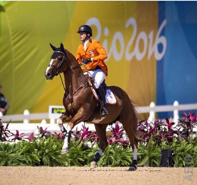 Emerald - BWP Belgisch volbloed 2004 ,  DIAMANT DE SEMILLY