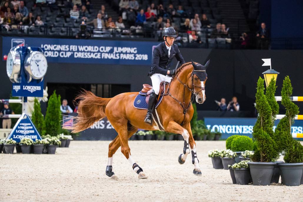 Emerald - BWP Belgisch volbloed 2004 ,  DIAMANT DE SEMILLY