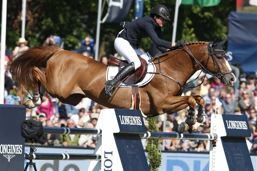 Firth of Lorne - Hannoveraan  2004 ,  FOR PLEASURE