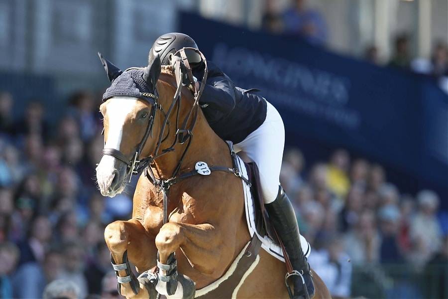 Firth of Lorne - Hannoveraan  2004 ,  FOR PLEASURE