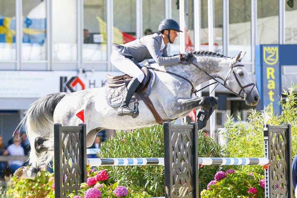 Mumbai - BWP Belgisch volbloed 2012 ,  DIAMANT DE SEMILLY