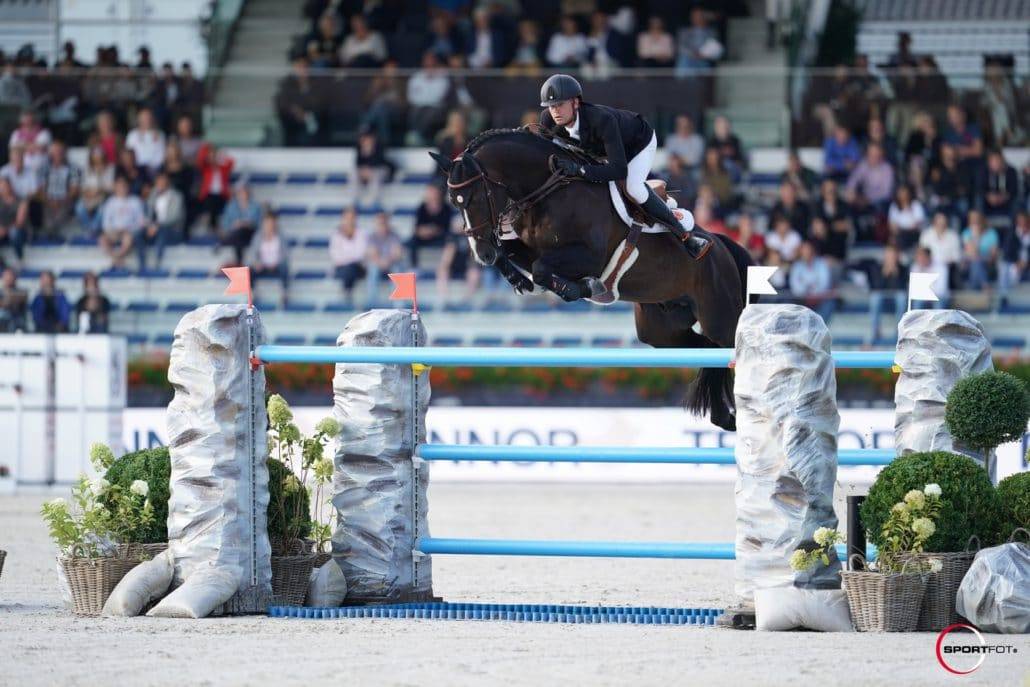 Quel Homme de Hus - Selle Français 2006 ,  QUIDAM DE REVEL