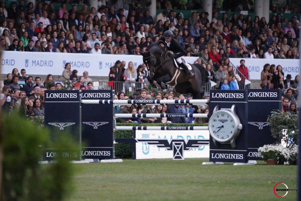 Quel Homme de Hus - Selle Français 2006 ,  QUIDAM DE REVEL