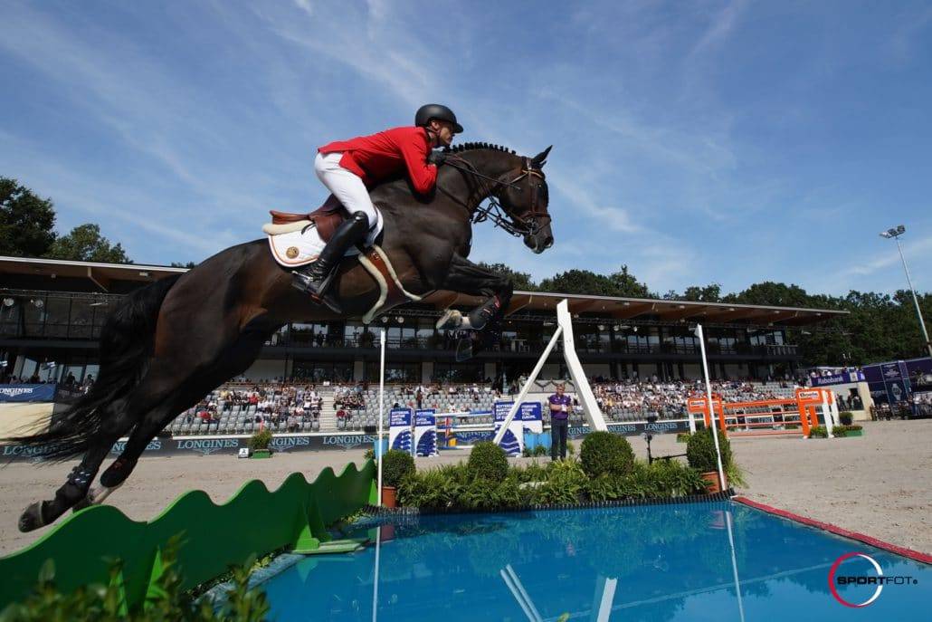 Quel Homme de Hus - Selle Français 2006 ,  QUIDAM DE REVEL