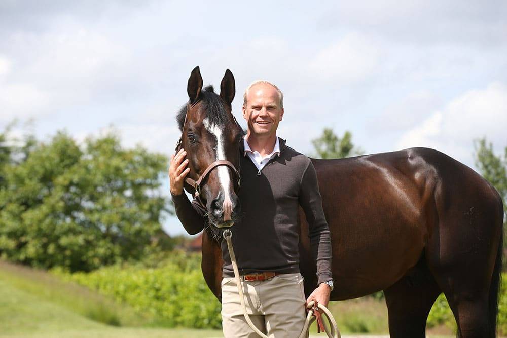 Quel Homme de Hus - Selle Français 2006 ,  QUIDAM DE REVEL
